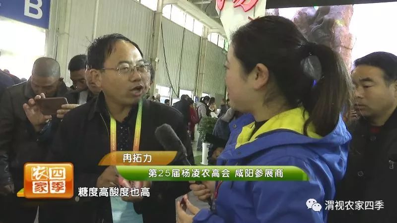 小罗带你逛超市,小罗带你走进水果基地