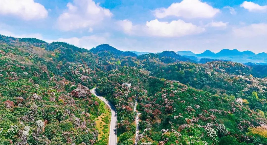 济南本地人免费的景区,济南免门票景区详细名单公布