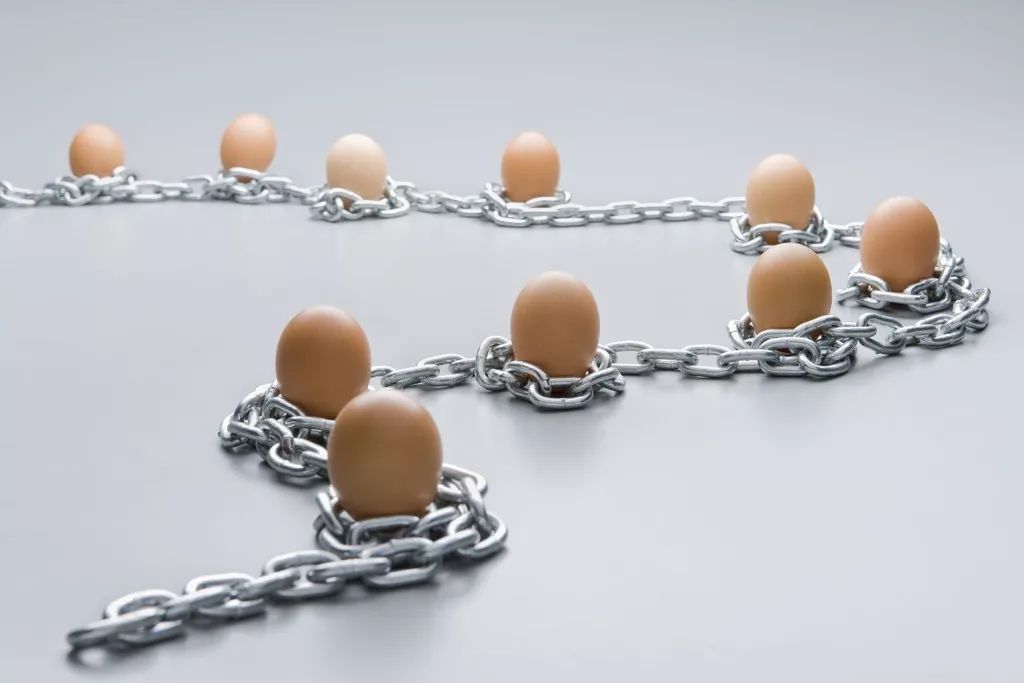 我的“低配”鸡血法,如何养出了“天才”娃?