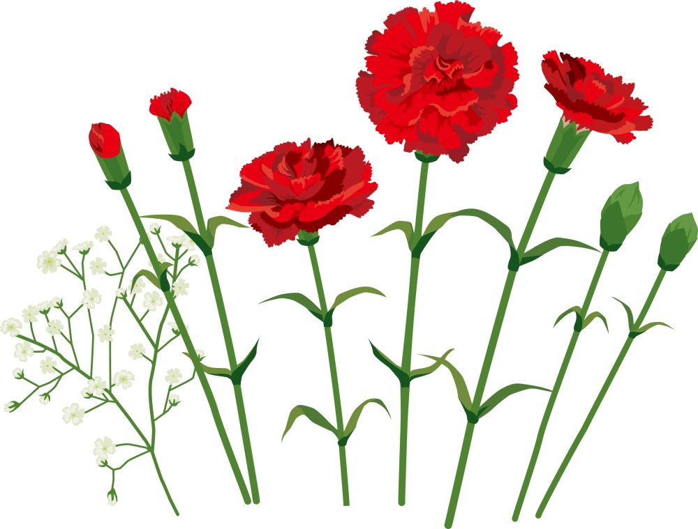 90后女大学生回乡创业圆梦,90后女大学生回乡创业搞养殖