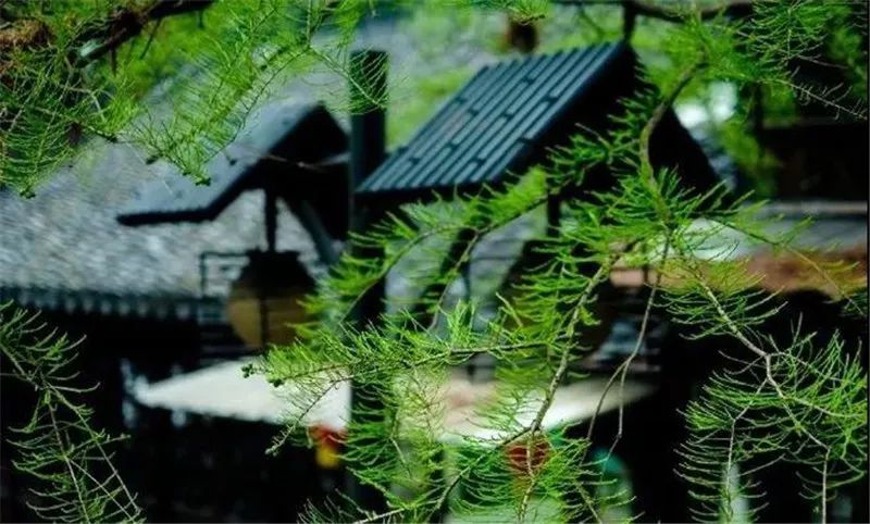 中国古典园林的诗画意境,中式园林画意