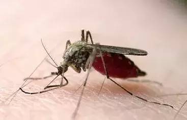 预防艾滋病知识竞赛,预防艾滋病知识竞赛答案哪里搜索