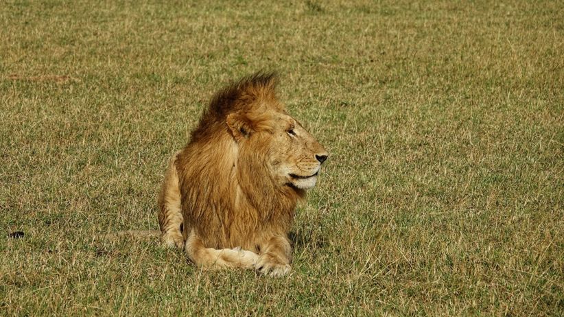 行囊装满的是人生,自己的行囊里装满了酸甜苦辣