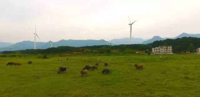 怎么去国外打工不花钱,怎么出去旅游不花钱