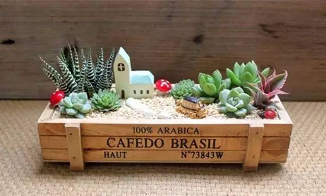 鍞湁鑲夎倝瀵规垜涓嶇涓嶅純,鍙湁鑲夎倝瀵规垜涓嶇涓嶅純