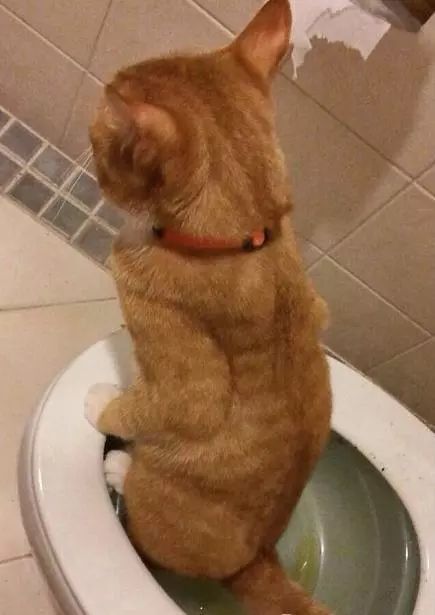 方便来聊聊火车上“方便”那点儿事么？