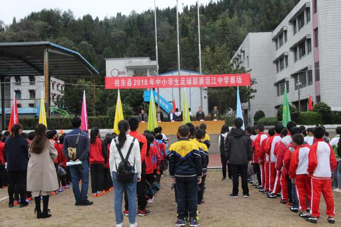 桂东小学足球比赛视频播放,桂平市第七届小学生足球联赛