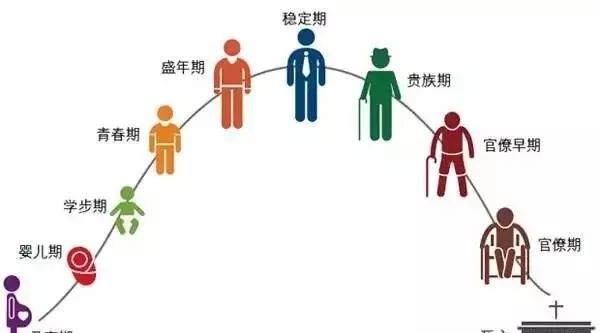 国医大师王琦：养生就要多工作、少进补