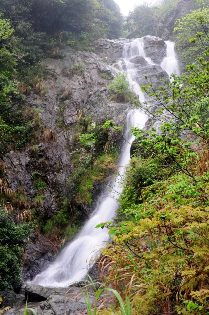 北仑河头游步道,一条游步道串起北仑