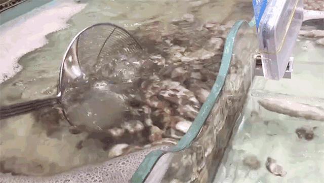 成都超市晚上打折,成都平价超市有哪些