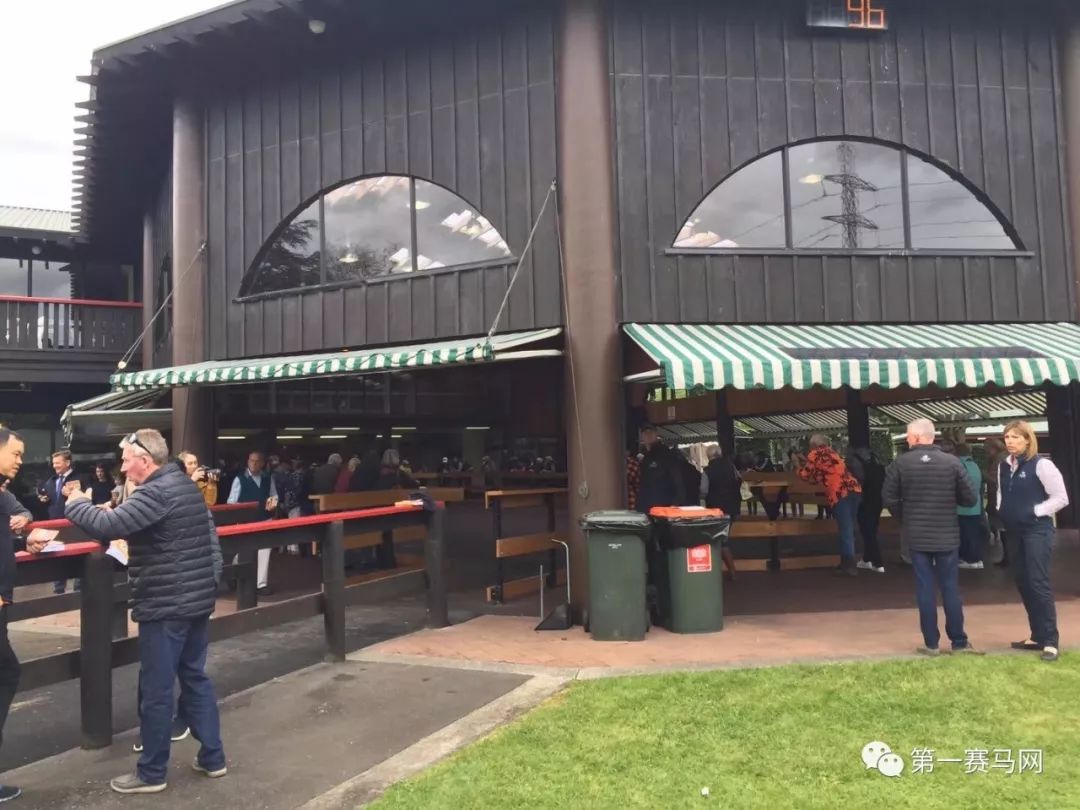 「买马」莱德旗下赛驹拍出高价，中国马主团豪砸重金购入佳驷，新西兰卡拉卡两岁受训马拍卖会隆重开槌