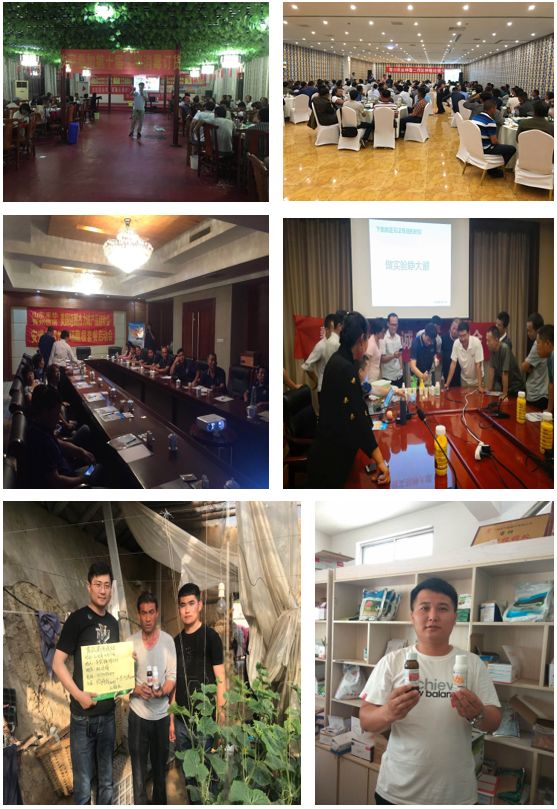 鍐滅敤楂樼鍔╁墏,缇庡浗杩堝浘鏉板姏璇氶珮鏁堟鐗╂补鍔╁墏