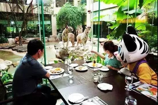 珠海长隆欢乐世界几日游攻略,4天玩转广州珠海长隆