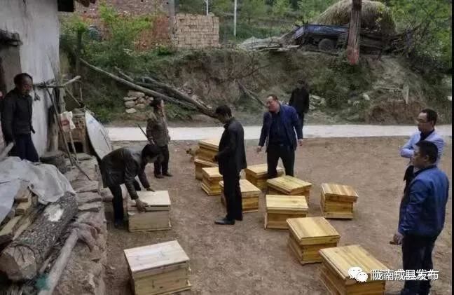 涔￠晣鑴辫传鏀诲潥宸ヤ綔鎺犲奖,闀囧師鍘挎柊鍩庨晣鑴辫传鏀诲潥绾疄