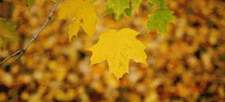 「科普」停经好几年,又出现阴道出血,是“返老还童”吗?