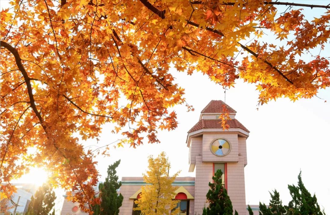 千万不要来青岛读大学，因为...