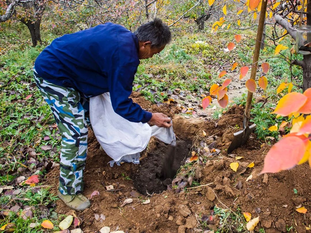敏感肌补水保湿面膜推荐性价比高,性价比超高的保湿面膜推荐