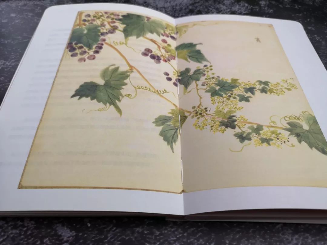 不要逼孩子死记硬背学古诗了,不要再给孩子盲目背诵古诗词了