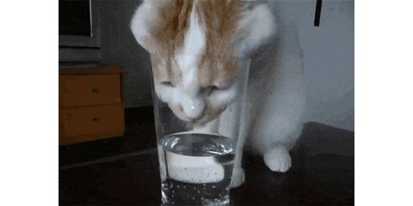 暖气里面有气为何就不热,暖气里有没有气怎么知道