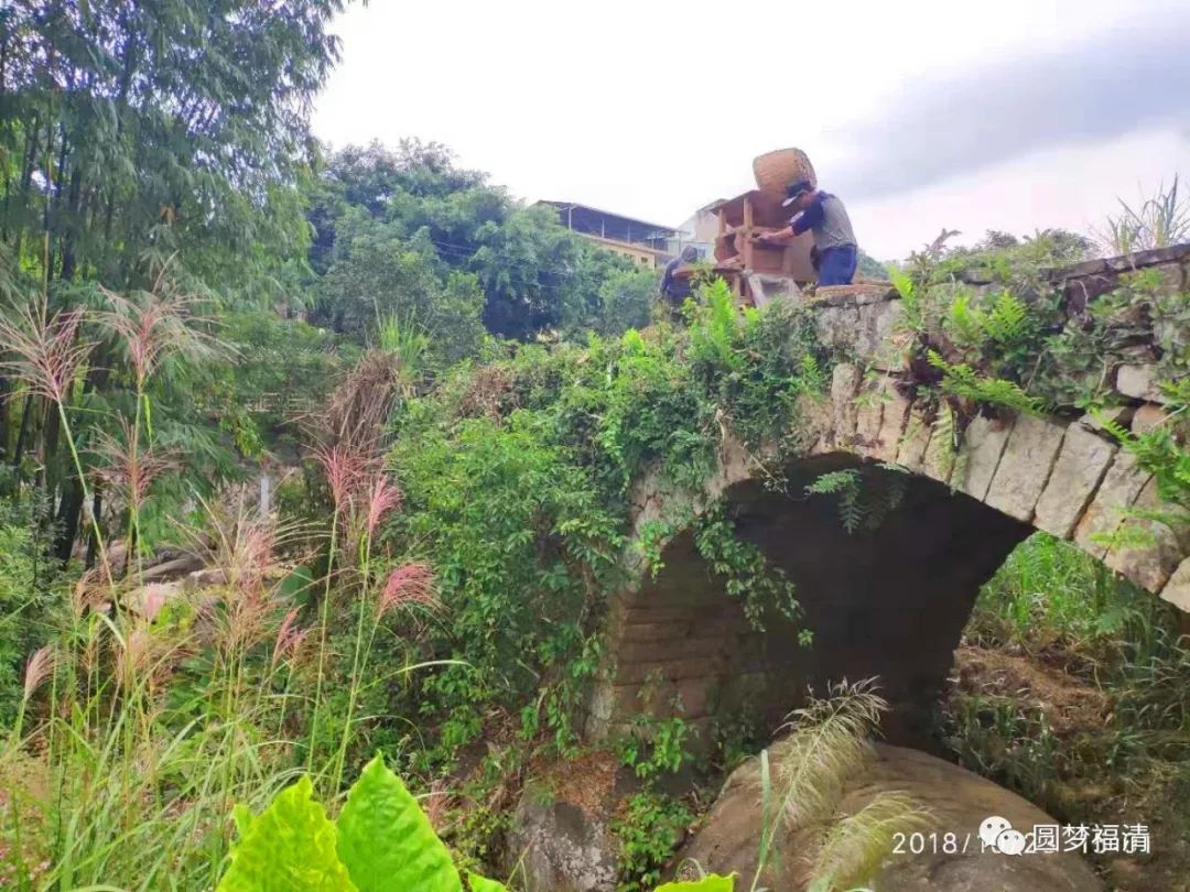 看一眼就忘不掉电影,看一眼一辈子都忘不掉的视频