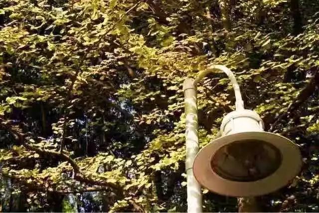 满城尽带黄金甲最美画面,满城尽带黄金甲拍摄地风景