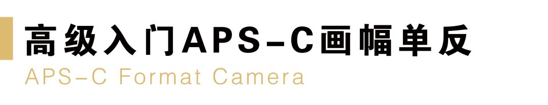 什么品牌相机最好尼康佳能,目前买尼康相机什么型号最好