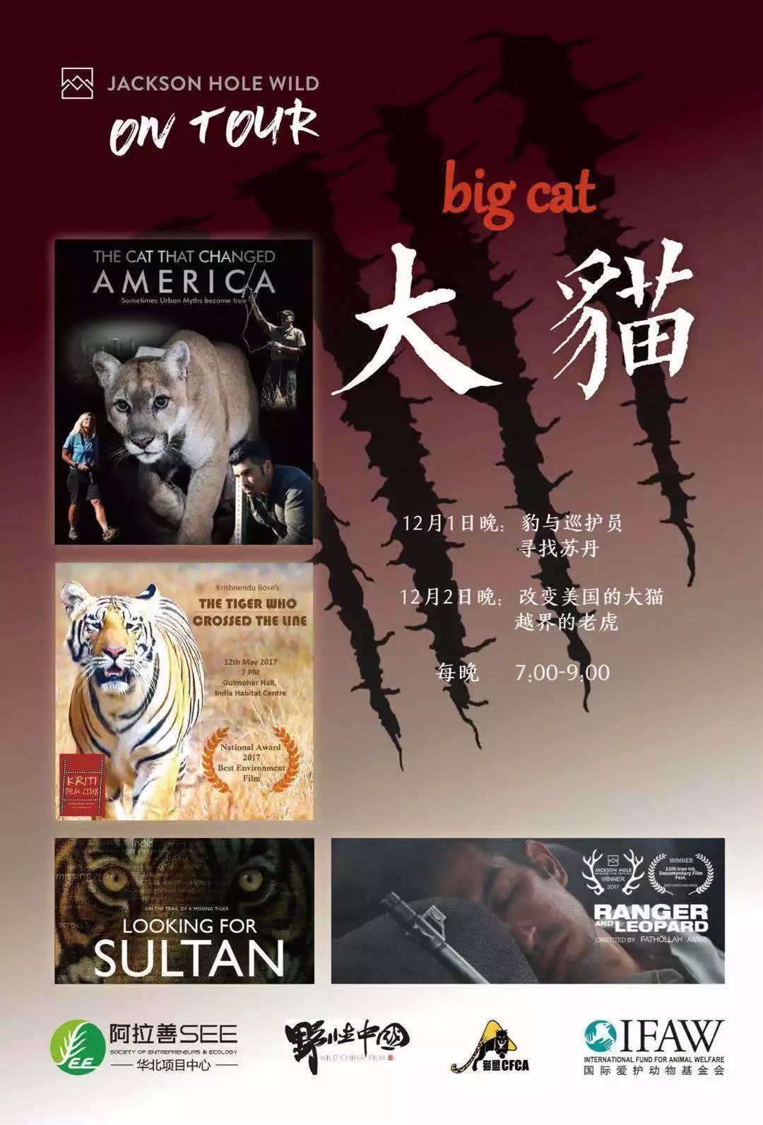 这么多大师，你打算带哪个回家？