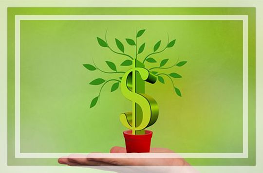 养老金太低如何补救,养老金南金北调