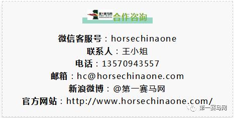 9300万巨奖怎么分？明日谁将有幸成为千万富豪？大幕将启马坛目光聚焦香港沙田（含排位表）