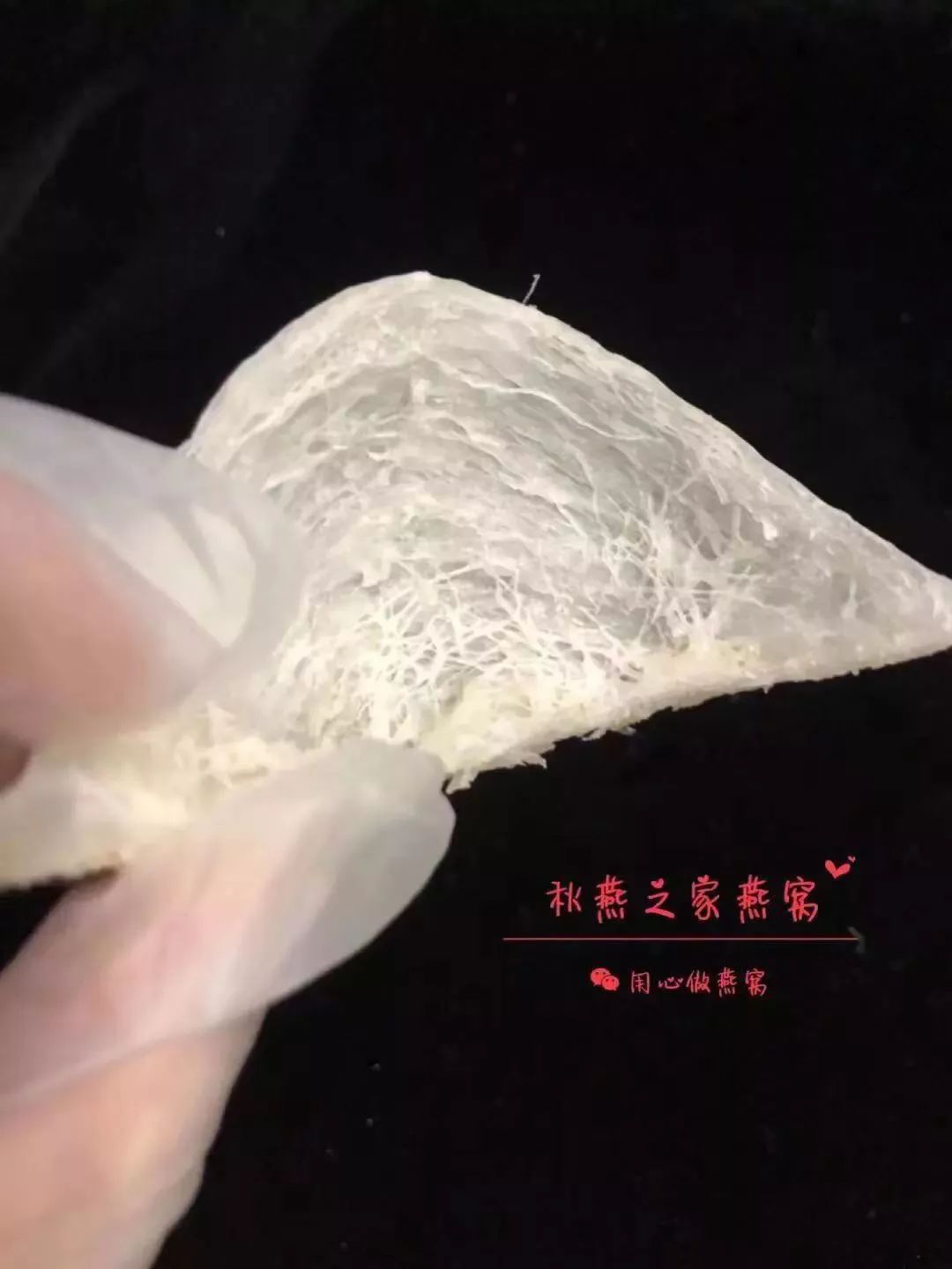 逆天了，燕窝免费送！非一般的燕窝，带你秒飞马来西亚……