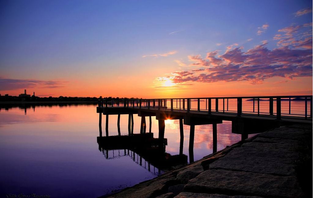 环保科普海洋生态环境基本特征,海洋生态环境治理变化及进展