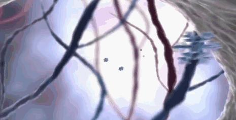 牙齿不好用什么牌子牙膏最好,牙齿超级不好用什么牙膏