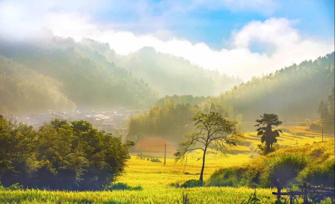 风景秀丽的浙南小城,富有魅力的浙南小城