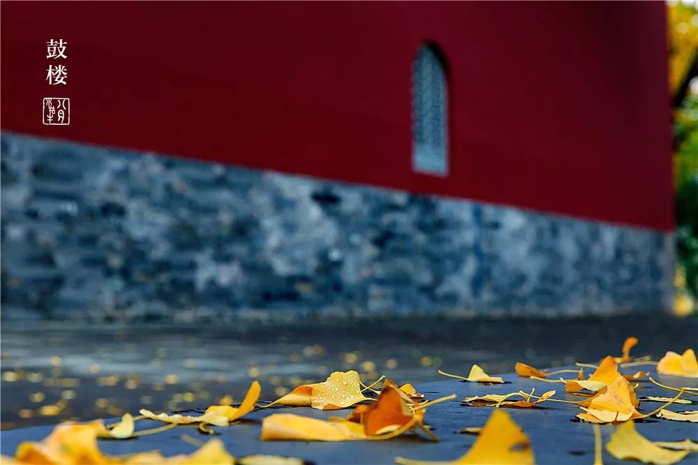 鼓楼70岁的老人免费吗,鼓楼60岁以上老人免票吗