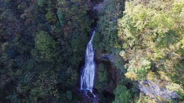 有了绿牌还能拥有大牌,有了绿牌再去拍蓝牌