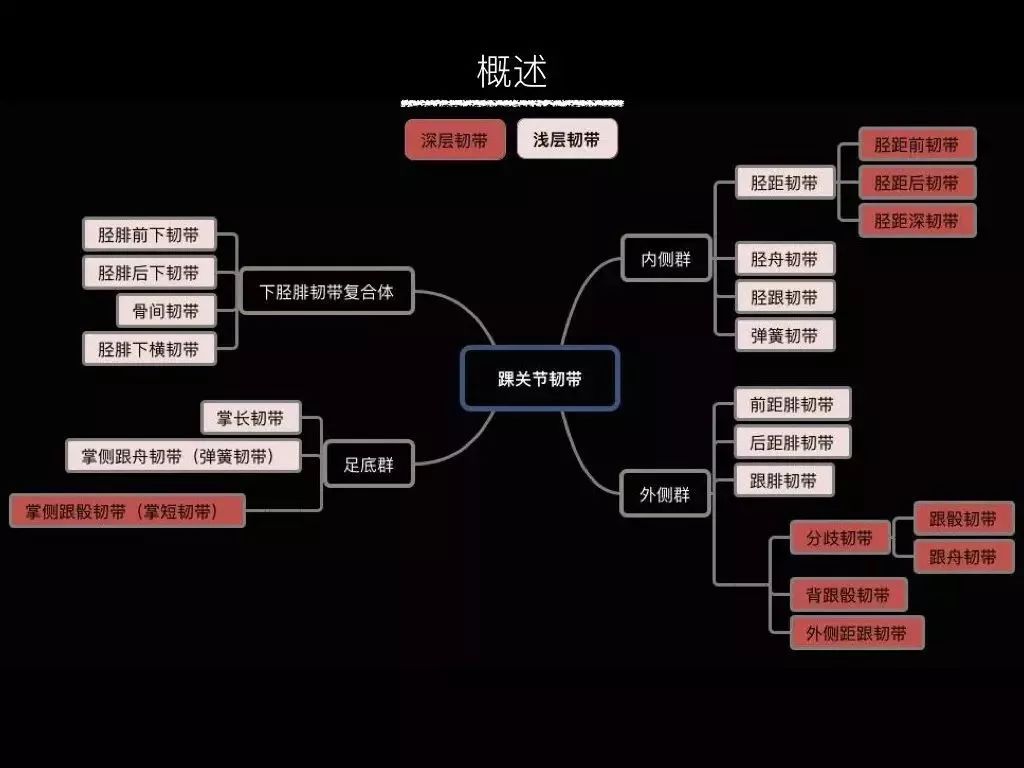 踝关节韧带修复手术康复动作,踝关节韧带康复训练图解