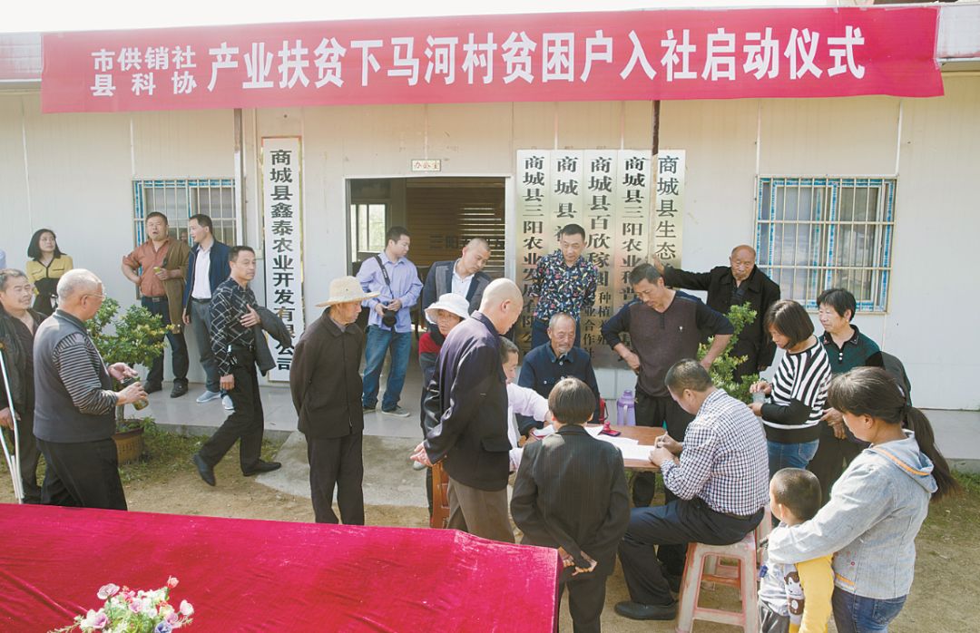 「特刊」县委书记和县长在《信阳日报》上各写了一篇署名文章！他们都是怎么夸商城的？瞧瞧~