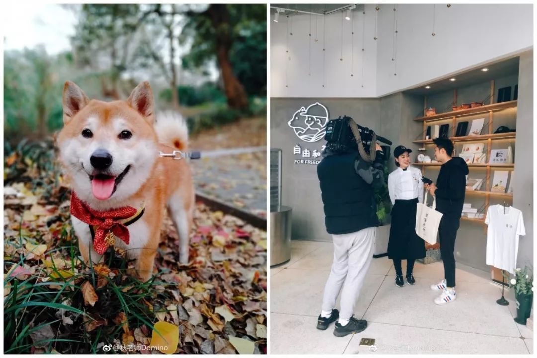 这个上过《十二道锋味》的台州姑娘，在钱江新城开了间“甜品补给站”!生活那么苦，加点糖吧
