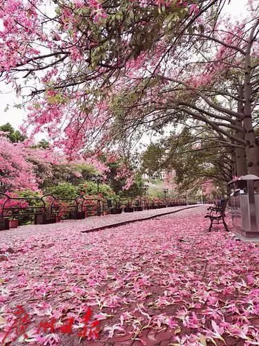 盘点那些美丽的校园时光,盘点那些美丽的校园