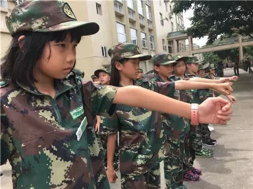 东莞报业夏令营,东莞雏鹰少年夏令营多少钱