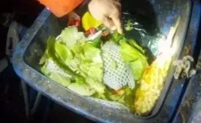 女子带照片扯结婚证被拒绝,女子自带照片扯结婚证被拒