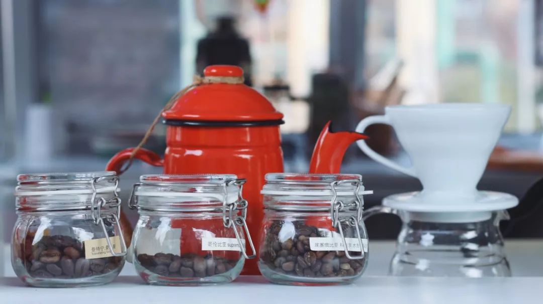 那个开着旅行咖啡车的女孩，暂别荒野重返都市