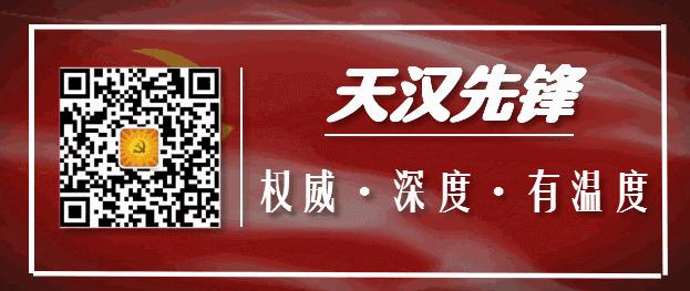 生态鸡致富鸡,生态鸡致富的视频