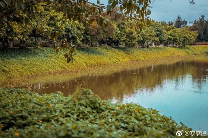 @所有人,2号线又有新进展!这条霸屏的网红线路,居然有这么多好玩的~
