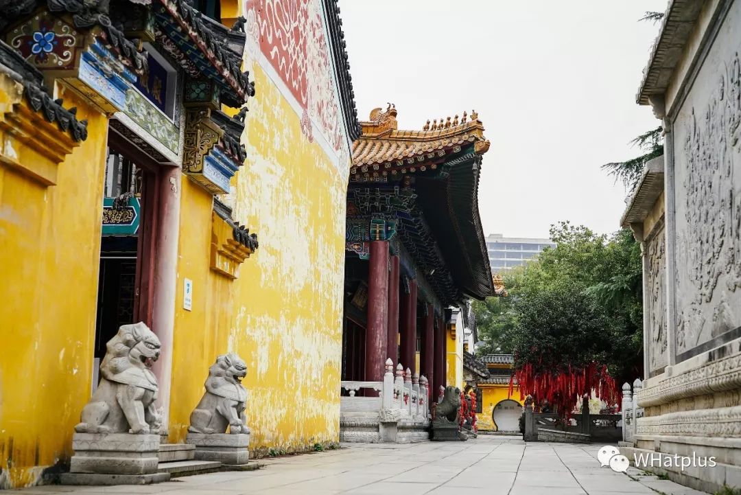 南普陀寺素菜馆推荐,观音山十大素菜馆