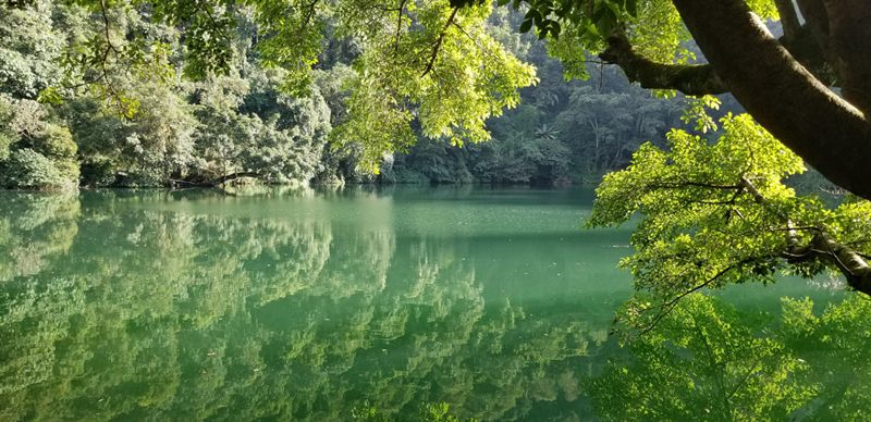 蒙自哪些景区值得去玩的,蒙自最美古镇在哪里