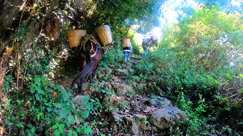 蒙自哪些景区值得去玩的,蒙自最美古镇在哪里