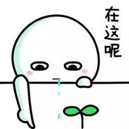 帮别人办信用卡收好处费犯法吗,帮朋友还信用卡收取费用犯法吗