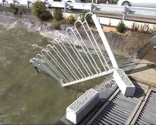 男子驾车坠湖事件真相,男子开车坠湖后续