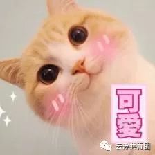 市直、云城、云安、罗定！近200个优质岗位等住你！走过路过千万别错过噢！